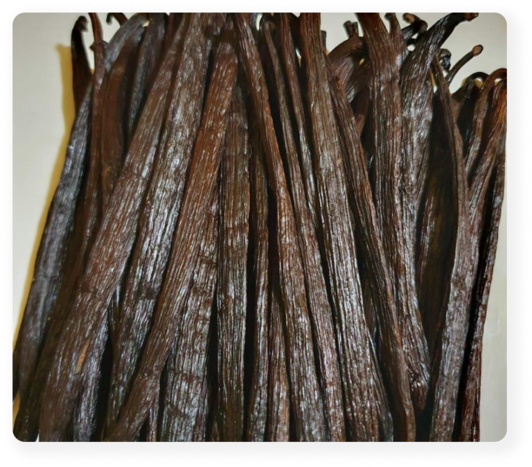 Product Vanilla Beans Tahitensis Vanillanindo